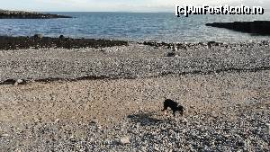 [P90] Anglesey: peisaj de coasta » foto by zuftim
 - 
<span class="allrVoted glyphicon glyphicon-heart hidden" id="av591384"></span>
<a class="m-l-10 hidden" id="sv591384" onclick="voting_Foto_DelVot(,591384,17998)" role="button">șterge vot <span class="glyphicon glyphicon-remove"></span></a>
<a id="v9591384" class=" c-red"  onclick="voting_Foto_SetVot(591384)" role="button"><span class="glyphicon glyphicon-heart-empty"></span> <b>LIKE</b> = Votează poza</a> <img class="hidden"  id="f591384W9" src="/imagini/loader.gif" border="0" /><span class="AjErrMes hidden" id="e591384ErM"></span>
