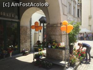 [P10] Si florile reprezinta bucuria noastra.  » foto by mishu
 - 
<span class="allrVoted glyphicon glyphicon-heart hidden" id="av986097"></span>
<a class="m-l-10 hidden" id="sv986097" onclick="voting_Foto_DelVot(,986097,18005)" role="button">șterge vot <span class="glyphicon glyphicon-remove"></span></a>
<a id="v9986097" class=" c-red"  onclick="voting_Foto_SetVot(986097)" role="button"><span class="glyphicon glyphicon-heart-empty"></span> <b>LIKE</b> = Votează poza</a> <img class="hidden"  id="f986097W9" src="/imagini/loader.gif" border="0" /><span class="AjErrMes hidden" id="e986097ErM"></span>