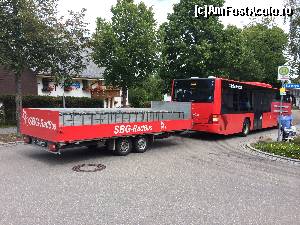 [P39] Un autobuz de biciclete ati vazut?  » foto by Aurici
 - 
<span class="allrVoted glyphicon glyphicon-heart hidden" id="av591861"></span>
<a class="m-l-10 hidden" id="sv591861" onclick="voting_Foto_DelVot(,591861,18008)" role="button">șterge vot <span class="glyphicon glyphicon-remove"></span></a>
<a id="v9591861" class=" c-red"  onclick="voting_Foto_SetVot(591861)" role="button"><span class="glyphicon glyphicon-heart-empty"></span> <b>LIKE</b> = Votează poza</a> <img class="hidden"  id="f591861W9" src="/imagini/loader.gif" border="0" /><span class="AjErrMes hidden" id="e591861ErM"></span>