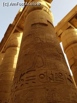 [P01] Karnak » foto by irina2015
 - 
<span class="allrVoted glyphicon glyphicon-heart hidden" id="av960467"></span>
<a class="m-l-10 hidden" id="sv960467" onclick="voting_Foto_DelVot(,960467,18011)" role="button">șterge vot <span class="glyphicon glyphicon-remove"></span></a>
<a id="v9960467" class=" c-red"  onclick="voting_Foto_SetVot(960467)" role="button"><span class="glyphicon glyphicon-heart-empty"></span> <b>LIKE</b> = Votează poza</a> <img class="hidden"  id="f960467W9" src="/imagini/loader.gif" border="0" /><span class="AjErrMes hidden" id="e960467ErM"></span>