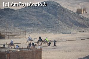 [P13] pregatiti de plimbarea cu camila, 2-3 min dureaza » foto by gabiwilhelm
 - 
<span class="allrVoted glyphicon glyphicon-heart hidden" id="av1223409"></span>
<a class="m-l-10 hidden" id="sv1223409" onclick="voting_Foto_DelVot(,1223409,18012)" role="button">șterge vot <span class="glyphicon glyphicon-remove"></span></a>
<a id="v91223409" class=" c-red"  onclick="voting_Foto_SetVot(1223409)" role="button"><span class="glyphicon glyphicon-heart-empty"></span> <b>LIKE</b> = Votează poza</a> <img class="hidden"  id="f1223409W9" src="/imagini/loader.gif" border="0" /><span class="AjErrMes hidden" id="e1223409ErM"></span>