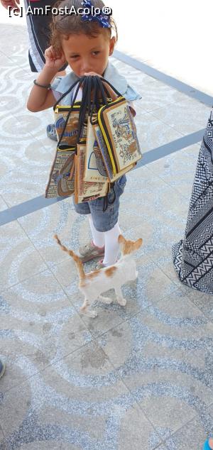 [P11]  -- <small>// FĂRĂ DESCRIERE</small> » foto by eliseea
 - 
<span class="allrVoted glyphicon glyphicon-heart hidden" id="av1105593"></span>
<a class="m-l-10 hidden" id="sv1105593" onclick="voting_Foto_DelVot(,1105593,18013)" role="button">șterge vot <span class="glyphicon glyphicon-remove"></span></a>
<a id="v91105593" class=" c-red"  onclick="voting_Foto_SetVot(1105593)" role="button"><span class="glyphicon glyphicon-heart-empty"></span> <b>LIKE</b> = Votează poza</a> <img class="hidden"  id="f1105593W9" src="/imagini/loader.gif" border="0" /><span class="AjErrMes hidden" id="e1105593ErM"></span>