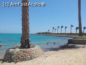 [P03]  -- <small>// FĂRĂ DESCRIERE</small> » foto by eliseea
 - 
<span class="allrVoted glyphicon glyphicon-heart hidden" id="av1105561"></span>
<a class="m-l-10 hidden" id="sv1105561" onclick="voting_Foto_DelVot(,1105561,18013)" role="button">șterge vot <span class="glyphicon glyphicon-remove"></span></a>
<a id="v91105561" class=" c-red"  onclick="voting_Foto_SetVot(1105561)" role="button"><span class="glyphicon glyphicon-heart-empty"></span> <b>LIKE</b> = Votează poza</a> <img class="hidden"  id="f1105561W9" src="/imagini/loader.gif" border="0" /><span class="AjErrMes hidden" id="e1105561ErM"></span>