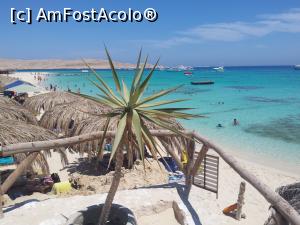 [P07] Insula Mahmya, sau distractia 75 de euro per cap de turist.  » foto by eliseea
 - 
<span class="allrVoted glyphicon glyphicon-heart hidden" id="av1105570"></span>
<a class="m-l-10 hidden" id="sv1105570" onclick="voting_Foto_DelVot(,1105570,18013)" role="button">șterge vot <span class="glyphicon glyphicon-remove"></span></a>
<a id="v91105570" class=" c-red"  onclick="voting_Foto_SetVot(1105570)" role="button"><span class="glyphicon glyphicon-heart-empty"></span> <b>LIKE</b> = Votează poza</a> <img class="hidden"  id="f1105570W9" src="/imagini/loader.gif" border="0" /><span class="AjErrMes hidden" id="e1105570ErM"></span>