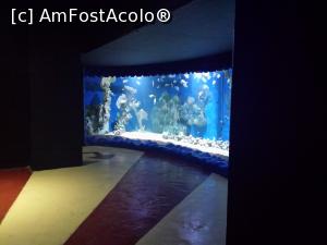 [P09] Acvariul din Hurghada- 35 de euro plus dezamagire crasa.  » foto by eliseea
 - 
<span class="allrVoted glyphicon glyphicon-heart hidden" id="av1105575"></span>
<a class="m-l-10 hidden" id="sv1105575" onclick="voting_Foto_DelVot(,1105575,18013)" role="button">șterge vot <span class="glyphicon glyphicon-remove"></span></a>
<a id="v91105575" class=" c-red"  onclick="voting_Foto_SetVot(1105575)" role="button"><span class="glyphicon glyphicon-heart-empty"></span> <b>LIKE</b> = Votează poza</a> <img class="hidden"  id="f1105575W9" src="/imagini/loader.gif" border="0" /><span class="AjErrMes hidden" id="e1105575ErM"></span>