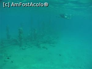 [P16] VIVAT  SNORKELING ! » foto by elenaadina
 - 
<span class="allrVoted glyphicon glyphicon-heart hidden" id="av1263266"></span>
<a class="m-l-10 hidden" id="sv1263266" onclick="voting_Foto_DelVot(,1263266,18031)" role="button">șterge vot <span class="glyphicon glyphicon-remove"></span></a>
<a id="v91263266" class=" c-red"  onclick="voting_Foto_SetVot(1263266)" role="button"><span class="glyphicon glyphicon-heart-empty"></span> <b>LIKE</b> = Votează poza</a> <img class="hidden"  id="f1263266W9" src="/imagini/loader.gif" border="0" /><span class="AjErrMes hidden" id="e1263266ErM"></span>