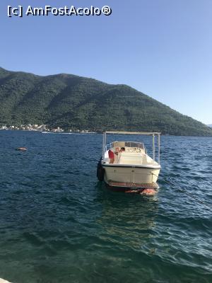 [P22] Vedere de pe faleza Perast » foto by krisstinna
 - 
<span class="allrVoted glyphicon glyphicon-heart hidden" id="av1103500"></span>
<a class="m-l-10 hidden" id="sv1103500" onclick="voting_Foto_DelVot(,1103500,18064)" role="button">șterge vot <span class="glyphicon glyphicon-remove"></span></a>
<a id="v91103500" class=" c-red"  onclick="voting_Foto_SetVot(1103500)" role="button"><span class="glyphicon glyphicon-heart-empty"></span> <b>LIKE</b> = Votează poza</a> <img class="hidden"  id="f1103500W9" src="/imagini/loader.gif" border="0" /><span class="AjErrMes hidden" id="e1103500ErM"></span>
