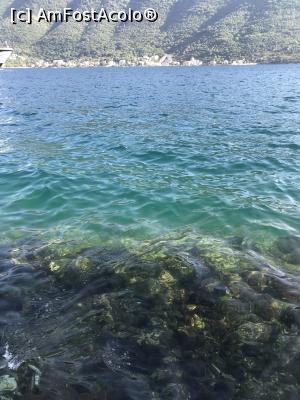 [P27] Adriatica în Perast » foto by krisstinna
 - 
<span class="allrVoted glyphicon glyphicon-heart hidden" id="av1103505"></span>
<a class="m-l-10 hidden" id="sv1103505" onclick="voting_Foto_DelVot(,1103505,18064)" role="button">șterge vot <span class="glyphicon glyphicon-remove"></span></a>
<a id="v91103505" class=" c-red"  onclick="voting_Foto_SetVot(1103505)" role="button"><span class="glyphicon glyphicon-heart-empty"></span> <b>LIKE</b> = Votează poza</a> <img class="hidden"  id="f1103505W9" src="/imagini/loader.gif" border="0" /><span class="AjErrMes hidden" id="e1103505ErM"></span>