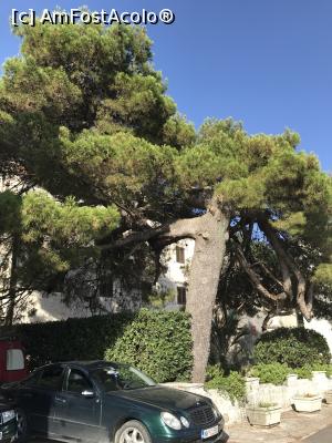 [P41] Perast » foto by krisstinna
 - 
<span class="allrVoted glyphicon glyphicon-heart hidden" id="av1103520"></span>
<a class="m-l-10 hidden" id="sv1103520" onclick="voting_Foto_DelVot(,1103520,18064)" role="button">șterge vot <span class="glyphicon glyphicon-remove"></span></a>
<a id="v91103520" class=" c-red"  onclick="voting_Foto_SetVot(1103520)" role="button"><span class="glyphicon glyphicon-heart-empty"></span> <b>LIKE</b> = Votează poza</a> <img class="hidden"  id="f1103520W9" src="/imagini/loader.gif" border="0" /><span class="AjErrMes hidden" id="e1103520ErM"></span>