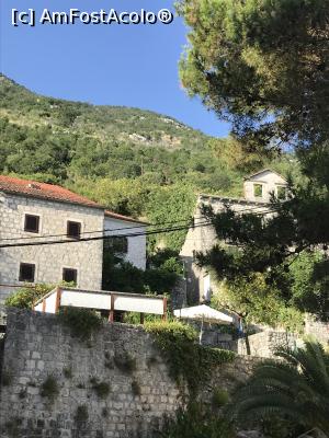 [P42] Vedere de pe faleza Perast » foto by krisstinna
 - 
<span class="allrVoted glyphicon glyphicon-heart hidden" id="av1103521"></span>
<a class="m-l-10 hidden" id="sv1103521" onclick="voting_Foto_DelVot(,1103521,18064)" role="button">șterge vot <span class="glyphicon glyphicon-remove"></span></a>
<a id="v91103521" class=" c-red"  onclick="voting_Foto_SetVot(1103521)" role="button"><span class="glyphicon glyphicon-heart-empty"></span> <b>LIKE</b> = Votează poza</a> <img class="hidden"  id="f1103521W9" src="/imagini/loader.gif" border="0" /><span class="AjErrMes hidden" id="e1103521ErM"></span>