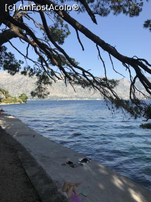 [P49] Plajă la umbră în Perast » foto by krisstinna
 - 
<span class="allrVoted glyphicon glyphicon-heart hidden" id="av1103529"></span>
<a class="m-l-10 hidden" id="sv1103529" onclick="voting_Foto_DelVot(,1103529,18064)" role="button">șterge vot <span class="glyphicon glyphicon-remove"></span></a>
<a id="v91103529" class=" c-red"  onclick="voting_Foto_SetVot(1103529)" role="button"><span class="glyphicon glyphicon-heart-empty"></span> <b>LIKE</b> = Votează poza</a> <img class="hidden"  id="f1103529W9" src="/imagini/loader.gif" border="0" /><span class="AjErrMes hidden" id="e1103529ErM"></span>