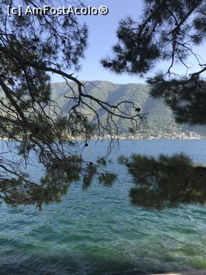 [P50] Adriatica în Perast » foto by krisstinna
 - 
<span class="allrVoted glyphicon glyphicon-heart hidden" id="av1103531"></span>
<a class="m-l-10 hidden" id="sv1103531" onclick="voting_Foto_DelVot(,1103531,18064)" role="button">șterge vot <span class="glyphicon glyphicon-remove"></span></a>
<a id="v91103531" class=" c-red"  onclick="voting_Foto_SetVot(1103531)" role="button"><span class="glyphicon glyphicon-heart-empty"></span> <b>LIKE</b> = Votează poza</a> <img class="hidden"  id="f1103531W9" src="/imagini/loader.gif" border="0" /><span class="AjErrMes hidden" id="e1103531ErM"></span>