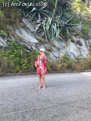 [P52] Aloe și băbuța » foto by krisstinna
 - 
<span class="allrVoted glyphicon glyphicon-heart hidden" id="av1103533"></span>
<a class="m-l-10 hidden" id="sv1103533" onclick="voting_Foto_DelVot(,1103533,18064)" role="button">șterge vot <span class="glyphicon glyphicon-remove"></span></a>
<a id="v91103533" class=" c-red"  onclick="voting_Foto_SetVot(1103533)" role="button"><span class="glyphicon glyphicon-heart-empty"></span> <b>LIKE</b> = Votează poza</a> <img class="hidden"  id="f1103533W9" src="/imagini/loader.gif" border="0" /><span class="AjErrMes hidden" id="e1103533ErM"></span>