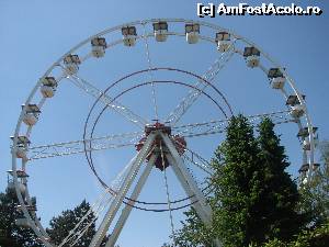 [P32] Iata si Grand Roue, in toata maretia...  » foto by Larissa
 - 
<span class="allrVoted glyphicon glyphicon-heart hidden" id="av593826"></span>
<a class="m-l-10 hidden" id="sv593826" onclick="voting_Foto_DelVot(,593826,18073)" role="button">șterge vot <span class="glyphicon glyphicon-remove"></span></a>
<a id="v9593826" class=" c-red"  onclick="voting_Foto_SetVot(593826)" role="button"><span class="glyphicon glyphicon-heart-empty"></span> <b>LIKE</b> = Votează poza</a> <img class="hidden"  id="f593826W9" src="/imagini/loader.gif" border="0" /><span class="AjErrMes hidden" id="e593826ErM"></span>