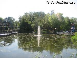 [P04] Balariile de pe lac...  » foto by Larissa
 - 
<span class="allrVoted glyphicon glyphicon-heart hidden" id="av593798"></span>
<a class="m-l-10 hidden" id="sv593798" onclick="voting_Foto_DelVot(,593798,18073)" role="button">șterge vot <span class="glyphicon glyphicon-remove"></span></a>
<a id="v9593798" class=" c-red"  onclick="voting_Foto_SetVot(593798)" role="button"><span class="glyphicon glyphicon-heart-empty"></span> <b>LIKE</b> = Votează poza</a> <img class="hidden"  id="f593798W9" src="/imagini/loader.gif" border="0" /><span class="AjErrMes hidden" id="e593798ErM"></span>