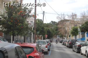 [P47] Rodos, Strada Griva verde la început de martie » foto by mprofeanu
 - 
<span class="allrVoted glyphicon glyphicon-heart hidden" id="av1419176"></span>
<a class="m-l-10 hidden" id="sv1419176" onclick="voting_Foto_DelVot(,1419176,18075)" role="button">șterge vot <span class="glyphicon glyphicon-remove"></span></a>
<a id="v91419176" class=" c-red"  onclick="voting_Foto_SetVot(1419176)" role="button"><span class="glyphicon glyphicon-heart-empty"></span> <b>LIKE</b> = Votează poza</a> <img class="hidden"  id="f1419176W9" src="/imagini/loader.gif" border="0" /><span class="AjErrMes hidden" id="e1419176ErM"></span>