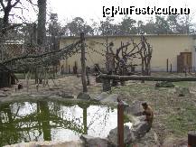 [P01] un mic lac pe langa care misunau o gramada de maimutici. » foto by cristi_an3000
 - 
<span class="allrVoted glyphicon glyphicon-heart hidden" id="av60110"></span>
<a class="m-l-10 hidden" id="sv60110" onclick="voting_Foto_DelVot(,60110,18083)" role="button">șterge vot <span class="glyphicon glyphicon-remove"></span></a>
<a id="v960110" class=" c-red"  onclick="voting_Foto_SetVot(60110)" role="button"><span class="glyphicon glyphicon-heart-empty"></span> <b>LIKE</b> = Votează poza</a> <img class="hidden"  id="f60110W9" src="/imagini/loader.gif" border="0" /><span class="AjErrMes hidden" id="e60110ErM"></span>