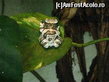 [P27]  -- <small>// FĂRĂ DESCRIERE</small> » foto by cristi_an3000
 - 
<span class="allrVoted glyphicon glyphicon-heart hidden" id="av60142"></span>
<a class="m-l-10 hidden" id="sv60142" onclick="voting_Foto_DelVot(,60142,18083)" role="button">șterge vot <span class="glyphicon glyphicon-remove"></span></a>
<a id="v960142" class=" c-red"  onclick="voting_Foto_SetVot(60142)" role="button"><span class="glyphicon glyphicon-heart-empty"></span> <b>LIKE</b> = Votează poza</a> <img class="hidden"  id="f60142W9" src="/imagini/loader.gif" border="0" /><span class="AjErrMes hidden" id="e60142ErM"></span>