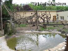 [P04] tarcul maimuticilor jucausa....sa le fi vazut cum sareau pe lianele acelea amenajate pentru ele.... » foto by mirelutza
 - 
<span class="allrVoted glyphicon glyphicon-heart hidden" id="av78472"></span>
<a class="m-l-10 hidden" id="sv78472" onclick="voting_Foto_DelVot(,78472,18083)" role="button">șterge vot <span class="glyphicon glyphicon-remove"></span></a>
<a id="v978472" class=" c-red"  onclick="voting_Foto_SetVot(78472)" role="button"><span class="glyphicon glyphicon-heart-empty"></span> <b>LIKE</b> = Votează poza</a> <img class="hidden"  id="f78472W9" src="/imagini/loader.gif" border="0" /><span class="AjErrMes hidden" id="e78472ErM"></span>