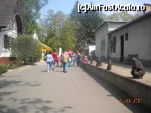 [P19] Aleea care duce la Vidampark » foto by Alina Morar
 - 
<span class="allrVoted glyphicon glyphicon-heart hidden" id="av201760"></span>
<a class="m-l-10 hidden" id="sv201760" onclick="voting_Foto_DelVot(,201760,18083)" role="button">șterge vot <span class="glyphicon glyphicon-remove"></span></a>
<a id="v9201760" class=" c-red"  onclick="voting_Foto_SetVot(201760)" role="button"><span class="glyphicon glyphicon-heart-empty"></span> <b>LIKE</b> = Votează poza</a> <img class="hidden"  id="f201760W9" src="/imagini/loader.gif" border="0" /><span class="AjErrMes hidden" id="e201760ErM"></span>