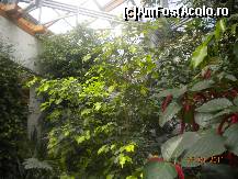 [P21] In sera tropicala la reptile » foto by Alina Morar
 - 
<span class="allrVoted glyphicon glyphicon-heart hidden" id="av201762"></span>
<a class="m-l-10 hidden" id="sv201762" onclick="voting_Foto_DelVot(,201762,18083)" role="button">șterge vot <span class="glyphicon glyphicon-remove"></span></a>
<a id="v9201762" class=" c-red"  onclick="voting_Foto_SetVot(201762)" role="button"><span class="glyphicon glyphicon-heart-empty"></span> <b>LIKE</b> = Votează poza</a> <img class="hidden"  id="f201762W9" src="/imagini/loader.gif" border="0" /><span class="AjErrMes hidden" id="e201762ErM"></span>
