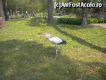 [P04] Spatiu generos pentru toate vietuitoarele » foto by Alina Morar
 - 
<span class="allrVoted glyphicon glyphicon-heart hidden" id="av201745"></span>
<a class="m-l-10 hidden" id="sv201745" onclick="voting_Foto_DelVot(,201745,18083)" role="button">șterge vot <span class="glyphicon glyphicon-remove"></span></a>
<a id="v9201745" class=" c-red"  onclick="voting_Foto_SetVot(201745)" role="button"><span class="glyphicon glyphicon-heart-empty"></span> <b>LIKE</b> = Votează poza</a> <img class="hidden"  id="f201745W9" src="/imagini/loader.gif" border="0" /><span class="AjErrMes hidden" id="e201745ErM"></span>