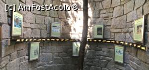 [P13] ALPENZOO - Groapa de lup » foto by mishu
 - 
<span class="allrVoted glyphicon glyphicon-heart hidden" id="av1006289"></span>
<a class="m-l-10 hidden" id="sv1006289" onclick="voting_Foto_DelVot(,1006289,18084)" role="button">șterge vot <span class="glyphicon glyphicon-remove"></span></a>
<a id="v91006289" class=" c-red"  onclick="voting_Foto_SetVot(1006289)" role="button"><span class="glyphicon glyphicon-heart-empty"></span> <b>LIKE</b> = Votează poza</a> <img class="hidden"  id="f1006289W9" src="/imagini/loader.gif" border="0" /><span class="AjErrMes hidden" id="e1006289ErM"></span>