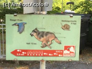 [P03] ALPENZOO - Comparatia intre om si animal » foto by mishu
 - 
<span class="allrVoted glyphicon glyphicon-heart hidden" id="av1006279"></span>
<a class="m-l-10 hidden" id="sv1006279" onclick="voting_Foto_DelVot(,1006279,18084)" role="button">șterge vot <span class="glyphicon glyphicon-remove"></span></a>
<a id="v91006279" class=" c-red"  onclick="voting_Foto_SetVot(1006279)" role="button"><span class="glyphicon glyphicon-heart-empty"></span> <b>LIKE</b> = Votează poza</a> <img class="hidden"  id="f1006279W9" src="/imagini/loader.gif" border="0" /><span class="AjErrMes hidden" id="e1006279ErM"></span>
