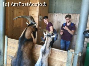 [P30] ALPENZOO - Si incepe distractia » foto by mishu
 - 
<span class="allrVoted glyphicon glyphicon-heart hidden" id="av1006306"></span>
<a class="m-l-10 hidden" id="sv1006306" onclick="voting_Foto_DelVot(,1006306,18084)" role="button">șterge vot <span class="glyphicon glyphicon-remove"></span></a>
<a id="v91006306" class=" c-red"  onclick="voting_Foto_SetVot(1006306)" role="button"><span class="glyphicon glyphicon-heart-empty"></span> <b>LIKE</b> = Votează poza</a> <img class="hidden"  id="f1006306W9" src="/imagini/loader.gif" border="0" /><span class="AjErrMes hidden" id="e1006306ErM"></span>
