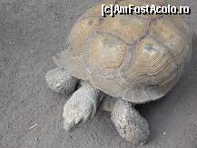 [P39]  -- <small>// FĂRĂ DESCRIERE</small> » foto by geta10
 - 
<span class="allrVoted glyphicon glyphicon-heart hidden" id="av277101"></span>
<a class="m-l-10 hidden" id="sv277101" onclick="voting_Foto_DelVot(,277101,18089)" role="button">șterge vot <span class="glyphicon glyphicon-remove"></span></a>
<a id="v9277101" class=" c-red"  onclick="voting_Foto_SetVot(277101)" role="button"><span class="glyphicon glyphicon-heart-empty"></span> <b>LIKE</b> = Votează poza</a> <img class="hidden"  id="f277101W9" src="/imagini/loader.gif" border="0" /><span class="AjErrMes hidden" id="e277101ErM"></span>