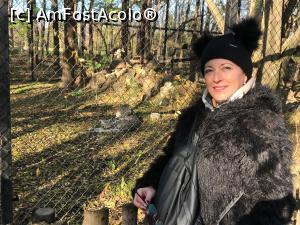 [P94] Zoo Szeged, bucuroasa ca un copil bătrân » foto by krisstinna
 - 
<span class="allrVoted glyphicon glyphicon-heart hidden" id="av1135502"></span>
<a class="m-l-10 hidden" id="sv1135502" onclick="voting_Foto_DelVot(,1135502,18089)" role="button">șterge vot <span class="glyphicon glyphicon-remove"></span></a>
<a id="v91135502" class=" c-red"  onclick="voting_Foto_SetVot(1135502)" role="button"><span class="glyphicon glyphicon-heart-empty"></span> <b>LIKE</b> = Votează poza</a> <img class="hidden"  id="f1135502W9" src="/imagini/loader.gif" border="0" /><span class="AjErrMes hidden" id="e1135502ErM"></span>