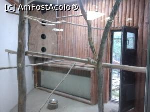 [P10] Zoo Pitești » foto by Mioritik
 - 
<span class="allrVoted glyphicon glyphicon-heart hidden" id="av1363376"></span>
<a class="m-l-10 hidden" id="sv1363376" onclick="voting_Foto_DelVot(,1363376,18092)" role="button">șterge vot <span class="glyphicon glyphicon-remove"></span></a>
<a id="v91363376" class=" c-red"  onclick="voting_Foto_SetVot(1363376)" role="button"><span class="glyphicon glyphicon-heart-empty"></span> <b>LIKE</b> = Votează poza</a> <img class="hidden"  id="f1363376W9" src="/imagini/loader.gif" border="0" /><span class="AjErrMes hidden" id="e1363376ErM"></span>