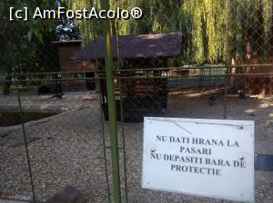 [P24] Zoo Pitești » foto by Mioritik
 - 
<span class="allrVoted glyphicon glyphicon-heart hidden" id="av1363390"></span>
<a class="m-l-10 hidden" id="sv1363390" onclick="voting_Foto_DelVot(,1363390,18092)" role="button">șterge vot <span class="glyphicon glyphicon-remove"></span></a>
<a id="v91363390" class=" c-red"  onclick="voting_Foto_SetVot(1363390)" role="button"><span class="glyphicon glyphicon-heart-empty"></span> <b>LIKE</b> = Votează poza</a> <img class="hidden"  id="f1363390W9" src="/imagini/loader.gif" border="0" /><span class="AjErrMes hidden" id="e1363390ErM"></span>