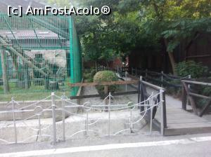 [P29] Zoo Pitești » foto by Mioritik
 - 
<span class="allrVoted glyphicon glyphicon-heart hidden" id="av1363395"></span>
<a class="m-l-10 hidden" id="sv1363395" onclick="voting_Foto_DelVot(,1363395,18092)" role="button">șterge vot <span class="glyphicon glyphicon-remove"></span></a>
<a id="v91363395" class=" c-red"  onclick="voting_Foto_SetVot(1363395)" role="button"><span class="glyphicon glyphicon-heart-empty"></span> <b>LIKE</b> = Votează poza</a> <img class="hidden"  id="f1363395W9" src="/imagini/loader.gif" border="0" /><span class="AjErrMes hidden" id="e1363395ErM"></span>