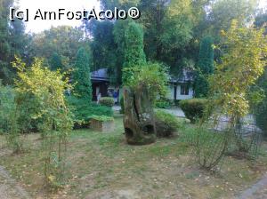 [P32] Zoo Pitești » foto by Mioritik
 - 
<span class="allrVoted glyphicon glyphicon-heart hidden" id="av1363398"></span>
<a class="m-l-10 hidden" id="sv1363398" onclick="voting_Foto_DelVot(,1363398,18092)" role="button">șterge vot <span class="glyphicon glyphicon-remove"></span></a>
<a id="v91363398" class=" c-red"  onclick="voting_Foto_SetVot(1363398)" role="button"><span class="glyphicon glyphicon-heart-empty"></span> <b>LIKE</b> = Votează poza</a> <img class="hidden"  id="f1363398W9" src="/imagini/loader.gif" border="0" /><span class="AjErrMes hidden" id="e1363398ErM"></span>