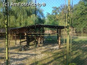 [P33] Zoo Pitești » foto by Mioritik
 - 
<span class="allrVoted glyphicon glyphicon-heart hidden" id="av1363399"></span>
<a class="m-l-10 hidden" id="sv1363399" onclick="voting_Foto_DelVot(,1363399,18092)" role="button">șterge vot <span class="glyphicon glyphicon-remove"></span></a>
<a id="v91363399" class=" c-red"  onclick="voting_Foto_SetVot(1363399)" role="button"><span class="glyphicon glyphicon-heart-empty"></span> <b>LIKE</b> = Votează poza</a> <img class="hidden"  id="f1363399W9" src="/imagini/loader.gif" border="0" /><span class="AjErrMes hidden" id="e1363399ErM"></span>