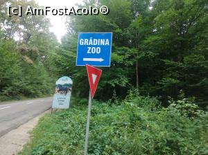[P47] În pădurea Trivale, prima vizită la zoo » foto by Mioritik
 - 
<span class="allrVoted glyphicon glyphicon-heart hidden" id="av1363413"></span>
<a class="m-l-10 hidden" id="sv1363413" onclick="voting_Foto_DelVot(,1363413,18092)" role="button">șterge vot <span class="glyphicon glyphicon-remove"></span></a>
<a id="v91363413" class=" c-red"  onclick="voting_Foto_SetVot(1363413)" role="button"><span class="glyphicon glyphicon-heart-empty"></span> <b>LIKE</b> = Votează poza</a> <img class="hidden"  id="f1363413W9" src="/imagini/loader.gif" border="0" /><span class="AjErrMes hidden" id="e1363413ErM"></span>