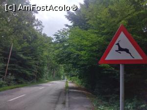 [P50] În pădurea Trivale, prima vizită la zoo, pe trotuar » foto by Mioritik
 - 
<span class="allrVoted glyphicon glyphicon-heart hidden" id="av1363416"></span>
<a class="m-l-10 hidden" id="sv1363416" onclick="voting_Foto_DelVot(,1363416,18092)" role="button">șterge vot <span class="glyphicon glyphicon-remove"></span></a>
<a id="v91363416" class=" c-red"  onclick="voting_Foto_SetVot(1363416)" role="button"><span class="glyphicon glyphicon-heart-empty"></span> <b>LIKE</b> = Votează poza</a> <img class="hidden"  id="f1363416W9" src="/imagini/loader.gif" border="0" /><span class="AjErrMes hidden" id="e1363416ErM"></span>