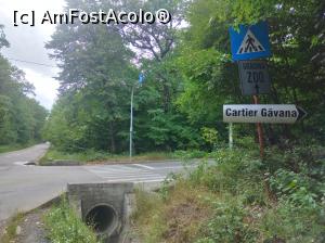 [P51] În pădurea Trivale, prima vizită la zoo » foto by Mioritik
 - 
<span class="allrVoted glyphicon glyphicon-heart hidden" id="av1363417"></span>
<a class="m-l-10 hidden" id="sv1363417" onclick="voting_Foto_DelVot(,1363417,18092)" role="button">șterge vot <span class="glyphicon glyphicon-remove"></span></a>
<a id="v91363417" class=" c-red"  onclick="voting_Foto_SetVot(1363417)" role="button"><span class="glyphicon glyphicon-heart-empty"></span> <b>LIKE</b> = Votează poza</a> <img class="hidden"  id="f1363417W9" src="/imagini/loader.gif" border="0" /><span class="AjErrMes hidden" id="e1363417ErM"></span>