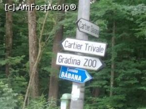[P53] În pădurea Trivale, prima vizită la zoo » foto by Mioritik
 - 
<span class="allrVoted glyphicon glyphicon-heart hidden" id="av1363419"></span>
<a class="m-l-10 hidden" id="sv1363419" onclick="voting_Foto_DelVot(,1363419,18092)" role="button">șterge vot <span class="glyphicon glyphicon-remove"></span></a>
<a id="v91363419" class=" c-red"  onclick="voting_Foto_SetVot(1363419)" role="button"><span class="glyphicon glyphicon-heart-empty"></span> <b>LIKE</b> = Votează poza</a> <img class="hidden"  id="f1363419W9" src="/imagini/loader.gif" border="0" /><span class="AjErrMes hidden" id="e1363419ErM"></span>