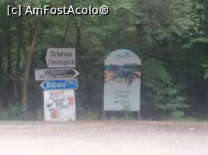 [P55] În pădurea Trivale, prima vizită la zoo » foto by Mioritik
 - 
<span class="allrVoted glyphicon glyphicon-heart hidden" id="av1363421"></span>
<a class="m-l-10 hidden" id="sv1363421" onclick="voting_Foto_DelVot(,1363421,18092)" role="button">șterge vot <span class="glyphicon glyphicon-remove"></span></a>
<a id="v91363421" class=" c-red"  onclick="voting_Foto_SetVot(1363421)" role="button"><span class="glyphicon glyphicon-heart-empty"></span> <b>LIKE</b> = Votează poza</a> <img class="hidden"  id="f1363421W9" src="/imagini/loader.gif" border="0" /><span class="AjErrMes hidden" id="e1363421ErM"></span>