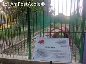 [P06] Zoo Pitești » foto by Mioritik
 - 
<span class="allrVoted glyphicon glyphicon-heart hidden" id="av1363372"></span>
<a class="m-l-10 hidden" id="sv1363372" onclick="voting_Foto_DelVot(,1363372,18092)" role="button">șterge vot <span class="glyphicon glyphicon-remove"></span></a>
<a id="v91363372" class=" c-red"  onclick="voting_Foto_SetVot(1363372)" role="button"><span class="glyphicon glyphicon-heart-empty"></span> <b>LIKE</b> = Votează poza</a> <img class="hidden"  id="f1363372W9" src="/imagini/loader.gif" border="0" /><span class="AjErrMes hidden" id="e1363372ErM"></span>
