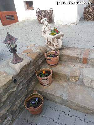 [P10] Florile din curte si unul din felinarele pur decorative care nu consumau noaptea curent!  » foto by Dan&Ema
 - 
<span class="allrVoted glyphicon glyphicon-heart hidden" id="av608246"></span>
<a class="m-l-10 hidden" id="sv608246" onclick="voting_Foto_DelVot(,608246,18096)" role="button">șterge vot <span class="glyphicon glyphicon-remove"></span></a>
<a id="v9608246" class=" c-red"  onclick="voting_Foto_SetVot(608246)" role="button"><span class="glyphicon glyphicon-heart-empty"></span> <b>LIKE</b> = Votează poza</a> <img class="hidden"  id="f608246W9" src="/imagini/loader.gif" border="0" /><span class="AjErrMes hidden" id="e608246ErM"></span>