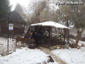 [P23] Va spuneam ca locatia are un parc frumos si o minigradina zoologica. Vara sunt mai multe 'exponate' » foto by Aurici
 - 
<span class="allrVoted glyphicon glyphicon-heart hidden" id="av596511"></span>
<a class="m-l-10 hidden" id="sv596511" onclick="voting_Foto_DelVot(,596511,18097)" role="button">șterge vot <span class="glyphicon glyphicon-remove"></span></a>
<a id="v9596511" class=" c-red"  onclick="voting_Foto_SetVot(596511)" role="button"><span class="glyphicon glyphicon-heart-empty"></span> <b>LIKE</b> = Votează poza</a> <img class="hidden"  id="f596511W9" src="/imagini/loader.gif" border="0" /><span class="AjErrMes hidden" id="e596511ErM"></span>