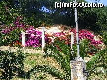 [P29] Tsilivi » foto by Cris
 - 
<span class="allrVoted glyphicon glyphicon-heart hidden" id="av215187"></span>
<a class="m-l-10 hidden" id="sv215187" onclick="voting_Foto_DelVot(,215187,18105)" role="button">șterge vot <span class="glyphicon glyphicon-remove"></span></a>
<a id="v9215187" class=" c-red"  onclick="voting_Foto_SetVot(215187)" role="button"><span class="glyphicon glyphicon-heart-empty"></span> <b>LIKE</b> = Votează poza</a> <img class="hidden"  id="f215187W9" src="/imagini/loader.gif" border="0" /><span class="AjErrMes hidden" id="e215187ErM"></span>