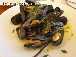 [P07] portie de scoici la restaurantul Navagos » foto by Sache
 - 
<span class="allrVoted glyphicon glyphicon-heart hidden" id="av1099375"></span>
<a class="m-l-10 hidden" id="sv1099375" onclick="voting_Foto_DelVot(,1099375,18106)" role="button">șterge vot <span class="glyphicon glyphicon-remove"></span></a>
<a id="v91099375" class=" c-red"  onclick="voting_Foto_SetVot(1099375)" role="button"><span class="glyphicon glyphicon-heart-empty"></span> <b>LIKE</b> = Votează poza</a> <img class="hidden"  id="f1099375W9" src="/imagini/loader.gif" border="0" /><span class="AjErrMes hidden" id="e1099375ErM"></span>