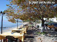 [P17] Plaja si taverna din Possidi » foto by ionescunic
 - 
<span class="allrVoted glyphicon glyphicon-heart hidden" id="av115526"></span>
<a class="m-l-10 hidden" id="sv115526" onclick="voting_Foto_DelVot(,115526,18108)" role="button">șterge vot <span class="glyphicon glyphicon-remove"></span></a>
<a id="v9115526" class=" c-red"  onclick="voting_Foto_SetVot(115526)" role="button"><span class="glyphicon glyphicon-heart-empty"></span> <b>LIKE</b> = Votează poza</a> <img class="hidden"  id="f115526W9" src="/imagini/loader.gif" border="0" /><span class="AjErrMes hidden" id="e115526ErM"></span>