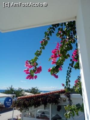 [P28] Xenios Dolphin Beach Hotel - vedere din balcon » foto by silvia71
 - 
<span class="allrVoted glyphicon glyphicon-heart hidden" id="av795096"></span>
<a class="m-l-10 hidden" id="sv795096" onclick="voting_Foto_DelVot(,795096,18108)" role="button">șterge vot <span class="glyphicon glyphicon-remove"></span></a>
<a id="v9795096" class=" c-red"  onclick="voting_Foto_SetVot(795096)" role="button"><span class="glyphicon glyphicon-heart-empty"></span> <b>LIKE</b> = Votează poza</a> <img class="hidden"  id="f795096W9" src="/imagini/loader.gif" border="0" /><span class="AjErrMes hidden" id="e795096ErM"></span>