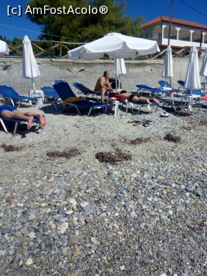 [P30] Xenios Dolphin Beach Hotel - plaja hotelului » foto by silvia71
 - 
<span class="allrVoted glyphicon glyphicon-heart hidden" id="av795100"></span>
<a class="m-l-10 hidden" id="sv795100" onclick="voting_Foto_DelVot(,795100,18108)" role="button">șterge vot <span class="glyphicon glyphicon-remove"></span></a>
<a id="v9795100" class=" c-red"  onclick="voting_Foto_SetVot(795100)" role="button"><span class="glyphicon glyphicon-heart-empty"></span> <b>LIKE</b> = Votează poza</a> <img class="hidden"  id="f795100W9" src="/imagini/loader.gif" border="0" /><span class="AjErrMes hidden" id="e795100ErM"></span>