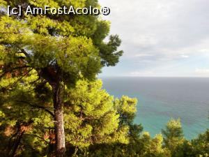 [P33] Dupa ploaie, Possidi vazut de sus (langa Thea Hotel)  » foto by silvia71
 - 
<span class="allrVoted glyphicon glyphicon-heart hidden" id="av795104"></span>
<a class="m-l-10 hidden" id="sv795104" onclick="voting_Foto_DelVot(,795104,18108)" role="button">șterge vot <span class="glyphicon glyphicon-remove"></span></a>
<a id="v9795104" class=" c-red"  onclick="voting_Foto_SetVot(795104)" role="button"><span class="glyphicon glyphicon-heart-empty"></span> <b>LIKE</b> = Votează poza</a> <img class="hidden"  id="f795104W9" src="/imagini/loader.gif" border="0" /><span class="AjErrMes hidden" id="e795104ErM"></span>